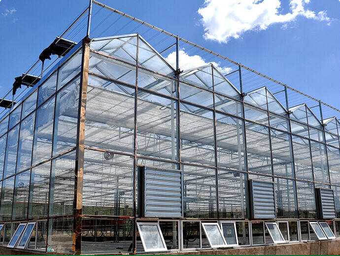 View of Hot Sale Steel Frame Greenhouse & Aluminum Scaffolding Kits